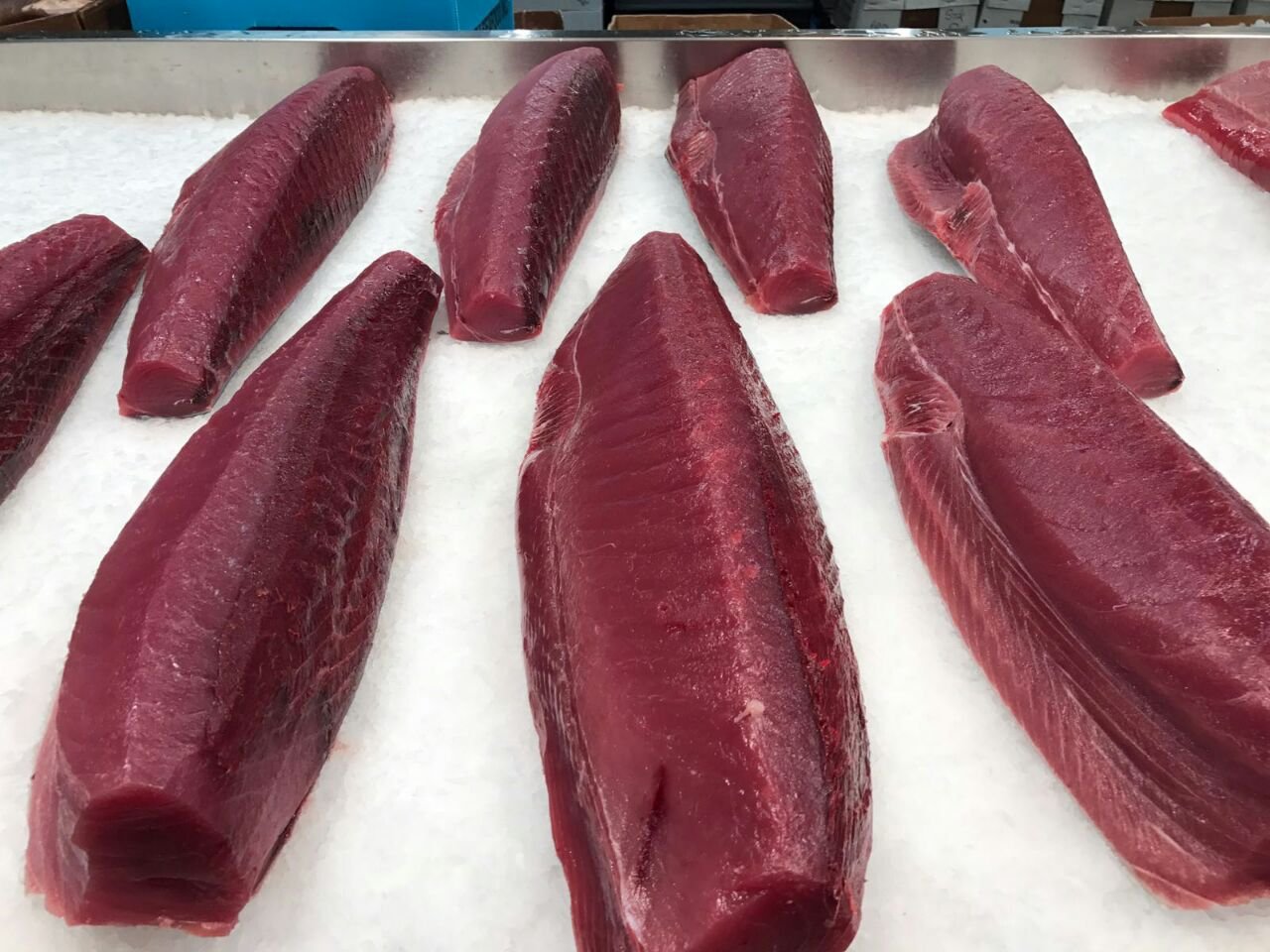 Swordfish Before Unloading from the Cooler Truck